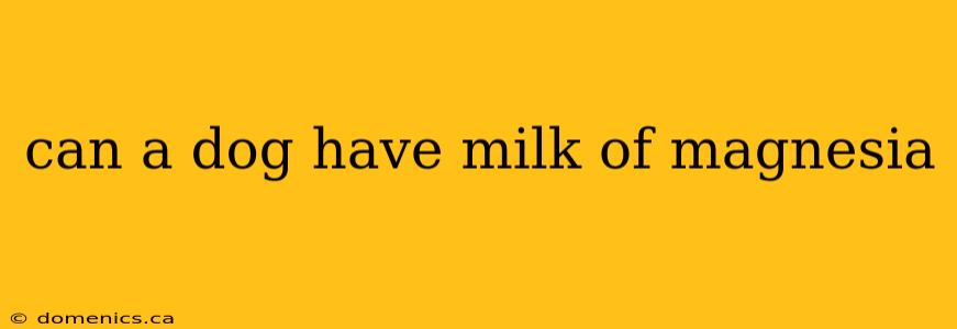 can a dog have milk of magnesia