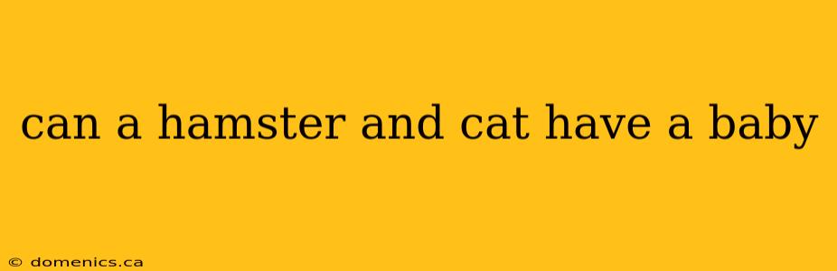 can a hamster and cat have a baby