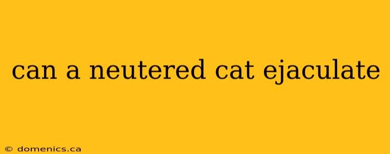 can a neutered cat ejaculate