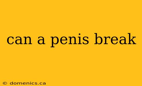 can a penis break