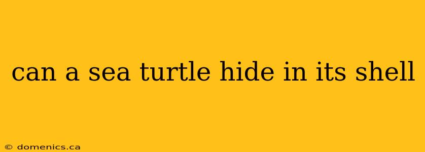 can a sea turtle hide in its shell