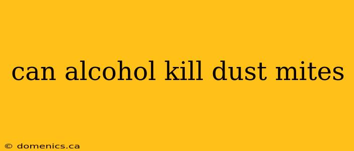 can alcohol kill dust mites