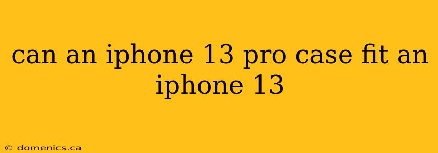 can an iphone 13 pro case fit an iphone 13