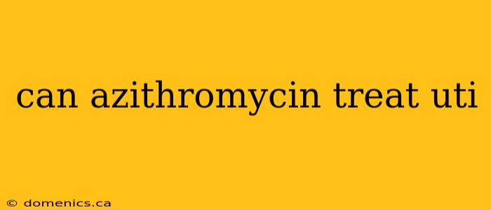 can azithromycin treat uti