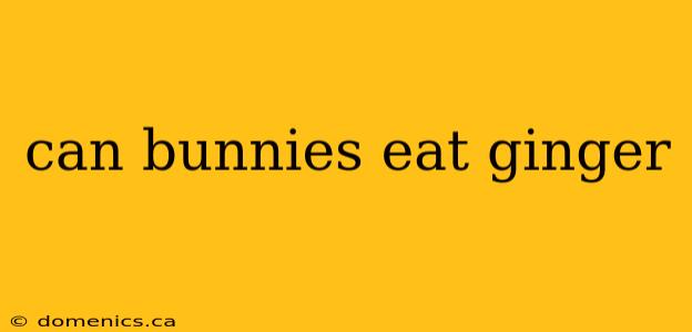 can bunnies eat ginger