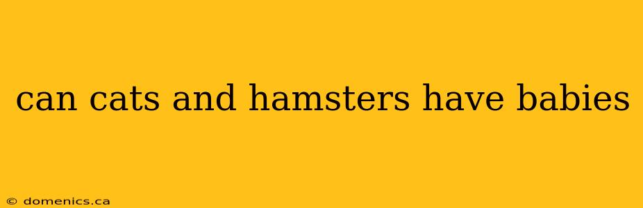 can cats and hamsters have babies