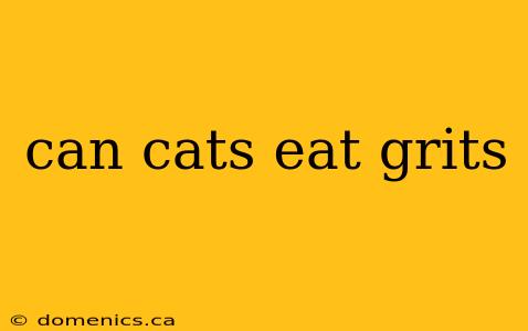 can cats eat grits