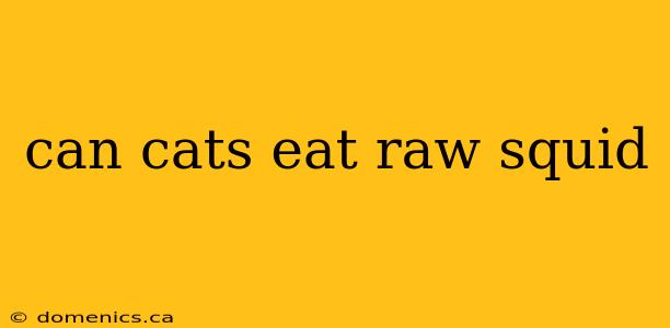 can cats eat raw squid