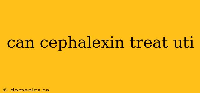 can cephalexin treat uti