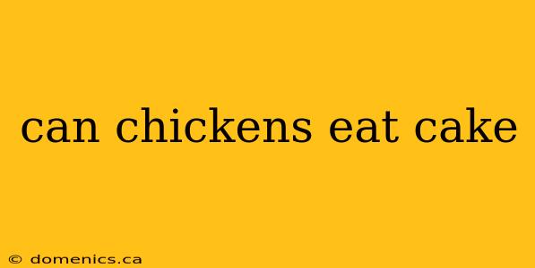 can chickens eat cake