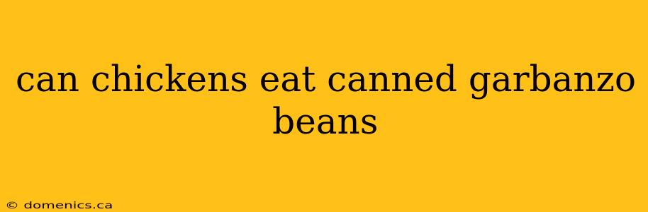 can chickens eat canned garbanzo beans