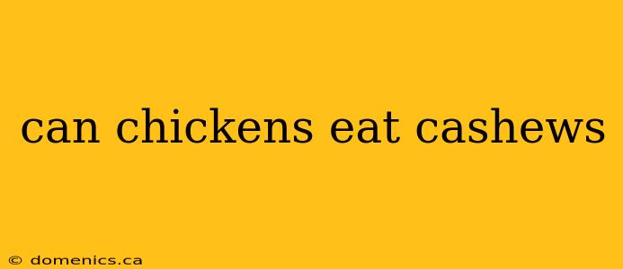 can chickens eat cashews