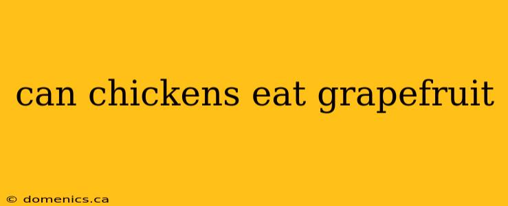 can chickens eat grapefruit