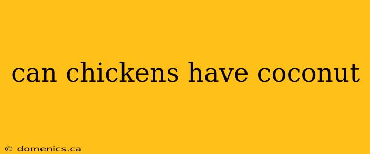 can chickens have coconut