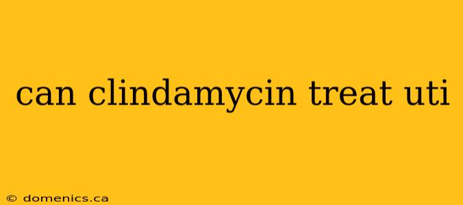 can clindamycin treat uti