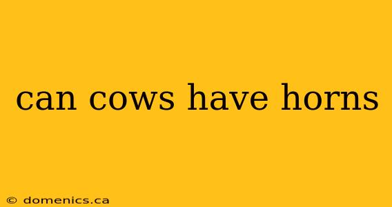 can cows have horns