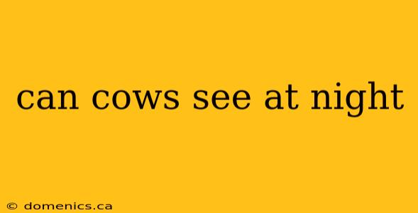 can cows see at night