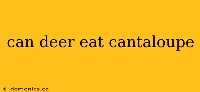 can deer eat cantaloupe