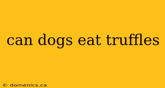 can dogs eat truffles