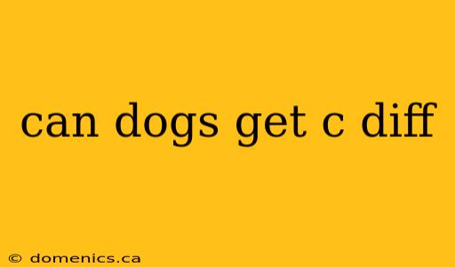 can dogs get c diff