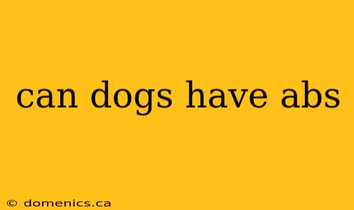 can dogs have abs