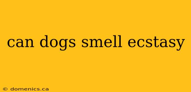 can dogs smell ecstasy