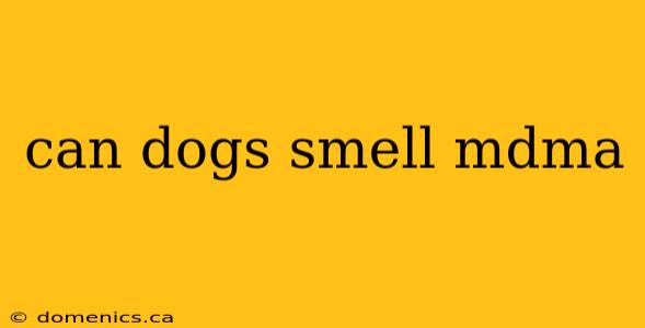 can dogs smell mdma