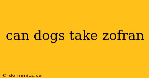 can dogs take zofran