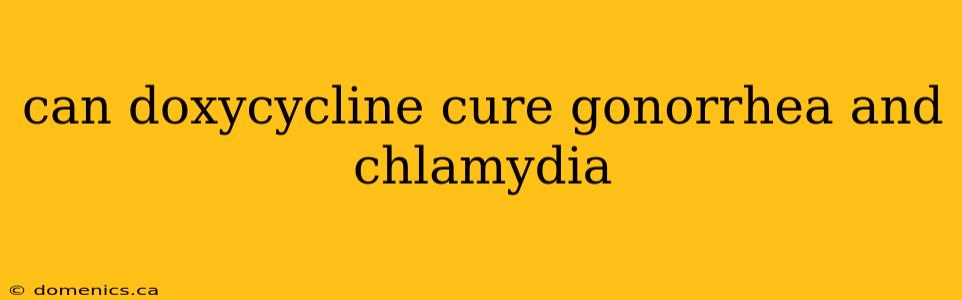 can doxycycline cure gonorrhea and chlamydia