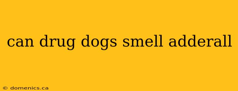 can drug dogs smell adderall