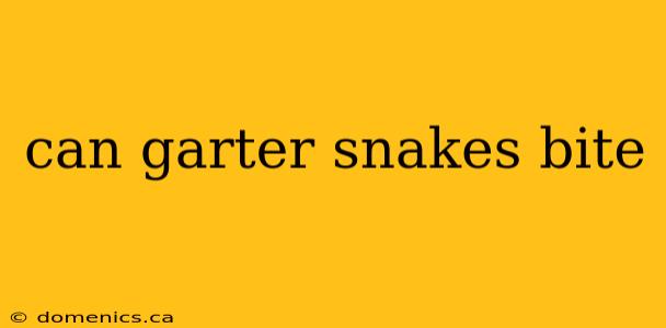 can garter snakes bite