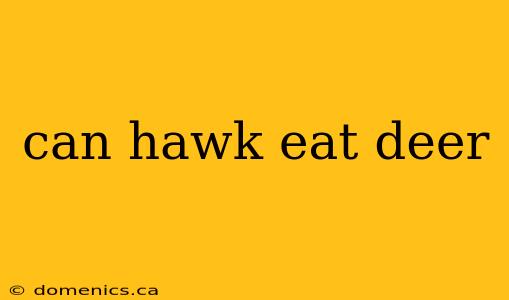 can hawk eat deer