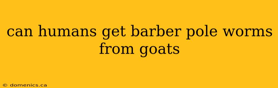 can humans get barber pole worms from goats