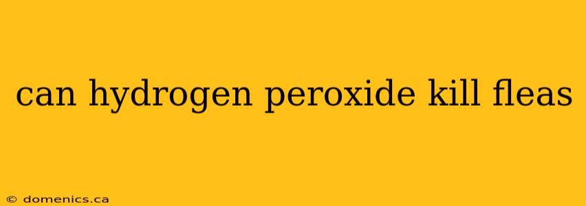 can hydrogen peroxide kill fleas