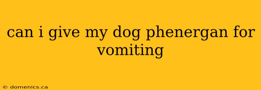 can i give my dog phenergan for vomiting