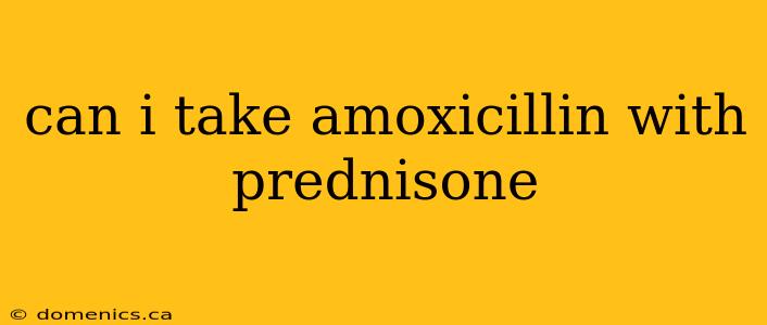 can i take amoxicillin with prednisone