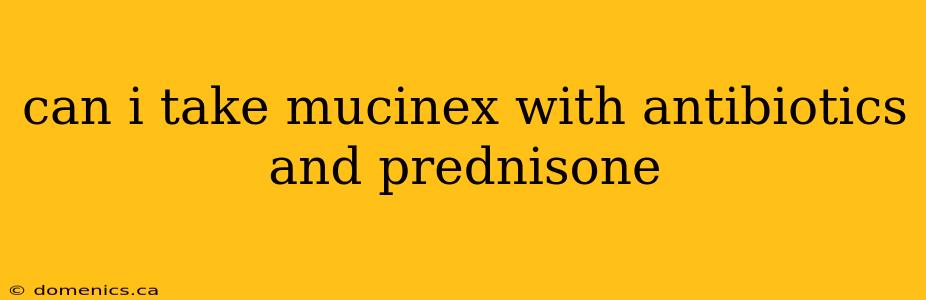 can i take mucinex with antibiotics and prednisone