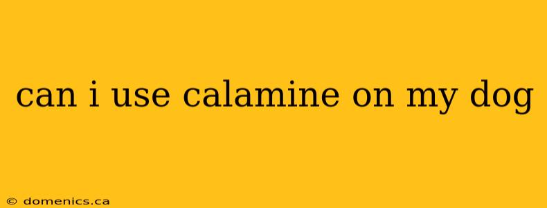 can i use calamine on my dog