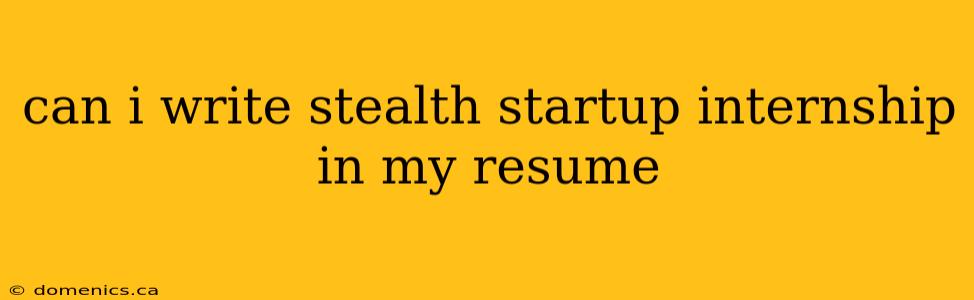 can i write stealth startup internship in my resume