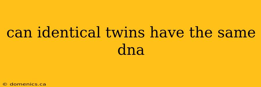 can identical twins have the same dna