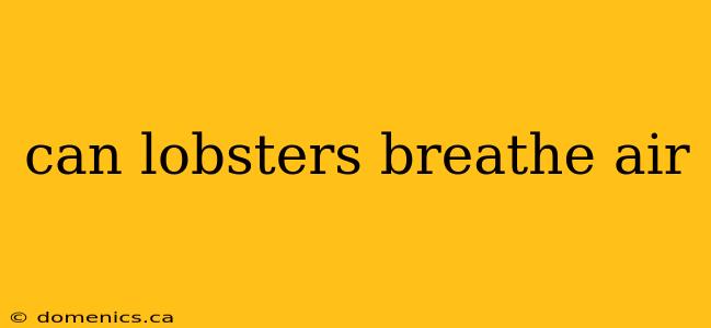 can lobsters breathe air