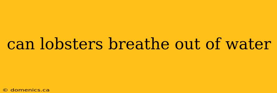 can lobsters breathe out of water