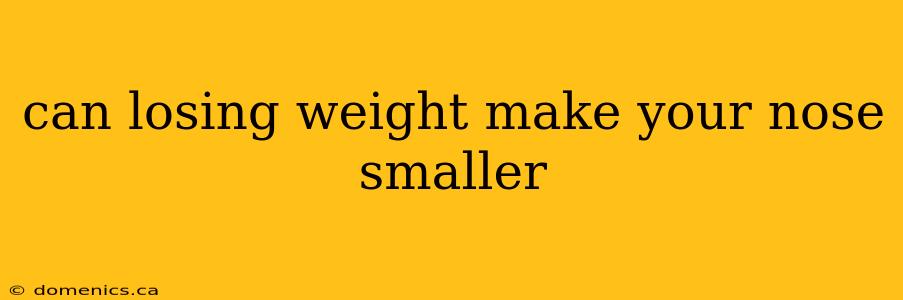 can losing weight make your nose smaller