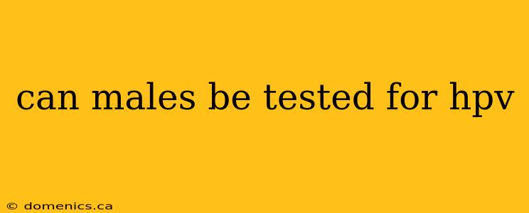 can males be tested for hpv