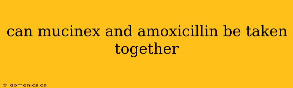 can mucinex and amoxicillin be taken together