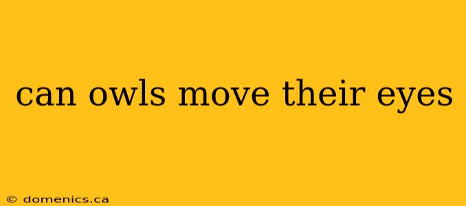 can owls move their eyes