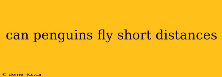 can penguins fly short distances