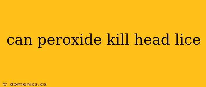 can peroxide kill head lice