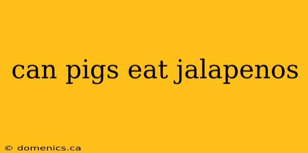 can pigs eat jalapenos