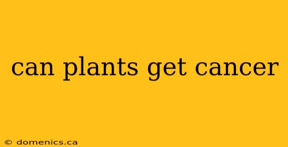 can plants get cancer